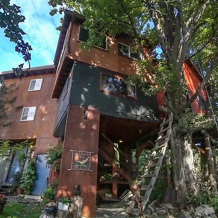 Cottonwood Cabins Fritz Creek Екстер'єр фото