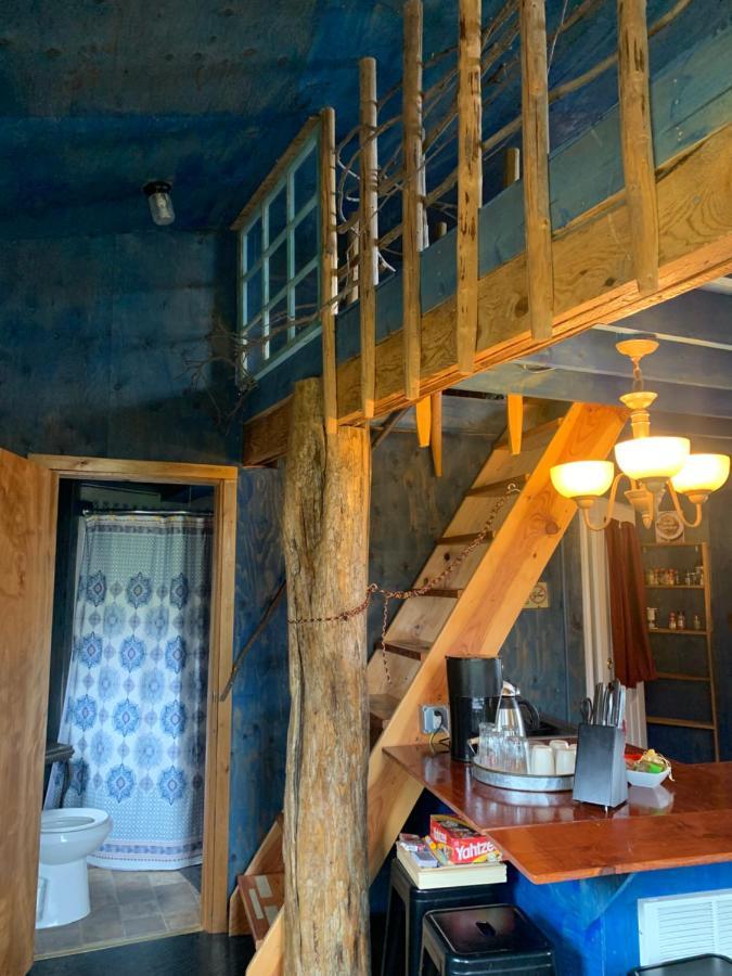 Cottonwood Cabins Fritz Creek Екстер'єр фото