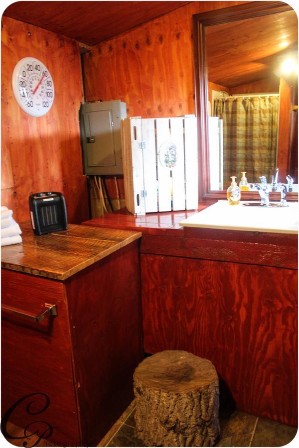 Cottonwood Cabins Fritz Creek Екстер'єр фото